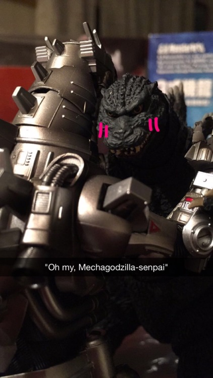 herukiva:So I just got an S.H. Monsterarts Mechagodzilla to go with the Godzilla I already had, and 