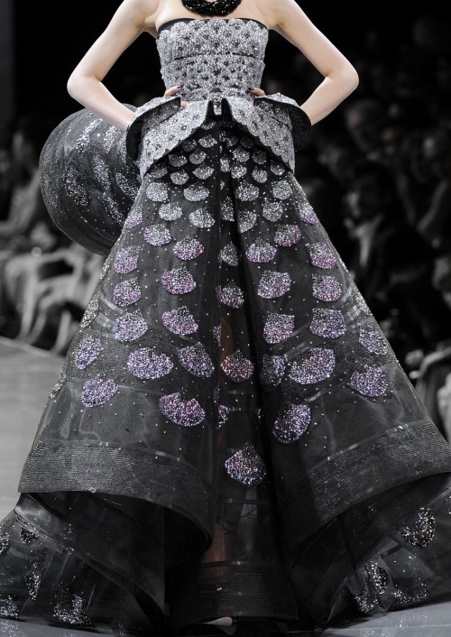 Christian Dior Haute Couture Fall 2008