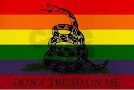 ideas-of-immortality: sixlunamoths:   phoenixcollective:   ideas-of-immortality:  To all the folx getting pissy over the Philadelphia Pride Flag: what about all these other Pride flags?  Seriously… if the only flag that upsets you is the one made by