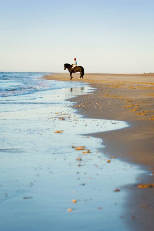 discovergreatbritain:   Top 5 Beaches in Britain By Alexa Baracaia From rolling dunes to turquoise seas, Britain’s beaches have a lot more to offer than sandy sandwiches and chips on the pier. Here’s our guide to five of the best beaches in the UK.