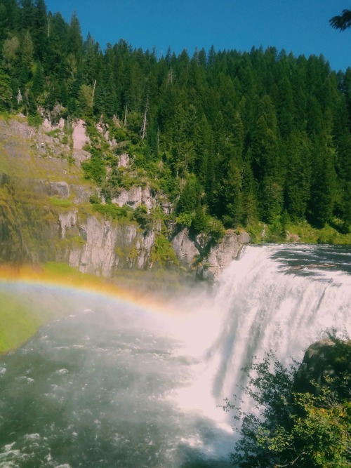 nneilperry:yellowstone national park, idaho