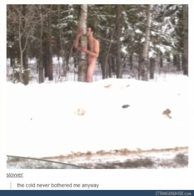 itsstuckyinmyhead:  Tumblr and Music 