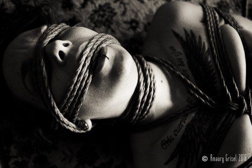 amaury-grisel-shibari:  rope & playmodele : AmandineShibari & photography : ©Amaury Grisel 2016