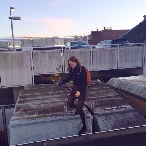 space-beam:  climbing on a roof with a plant in ur hand is hella difficult!!1!   💦