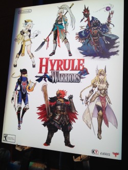 8bitkevin:  Hyrule Warriors concept art!