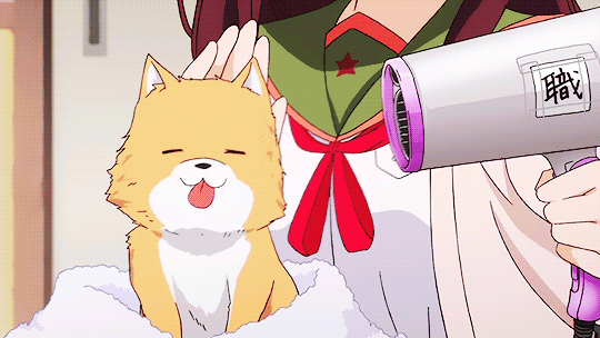 When your owner gets you all prettied up, and you feel like the best dog in the world.