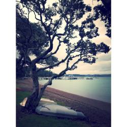 Kiwi beach vibes.
#russell #bayofislands #nz (at Russell Bay Of Islands)