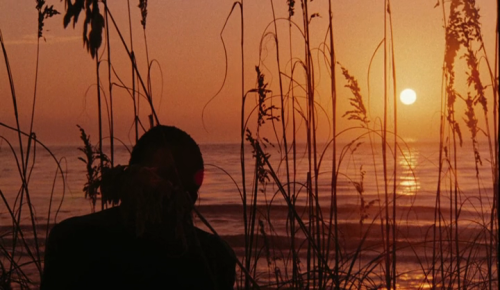 365filmsbyauroranocte:  Daughters of the Dust (Julie Dash, 1991)  