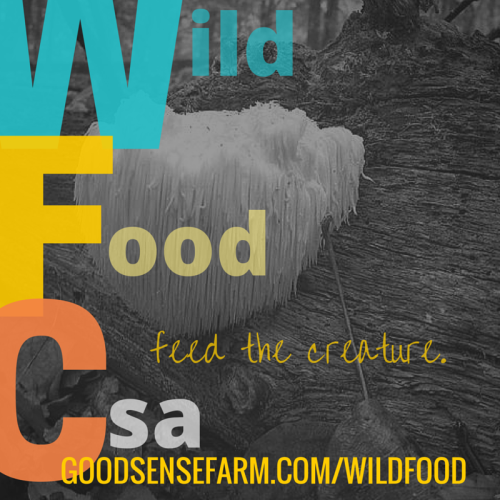 We&rsquo;re so excited to be launching a Wild Food CSA this year! We want to introduce more peop