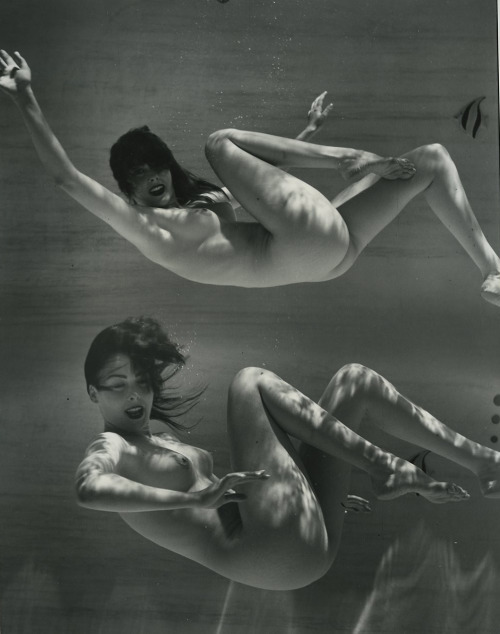 lapetitecole:Andre de Dienes