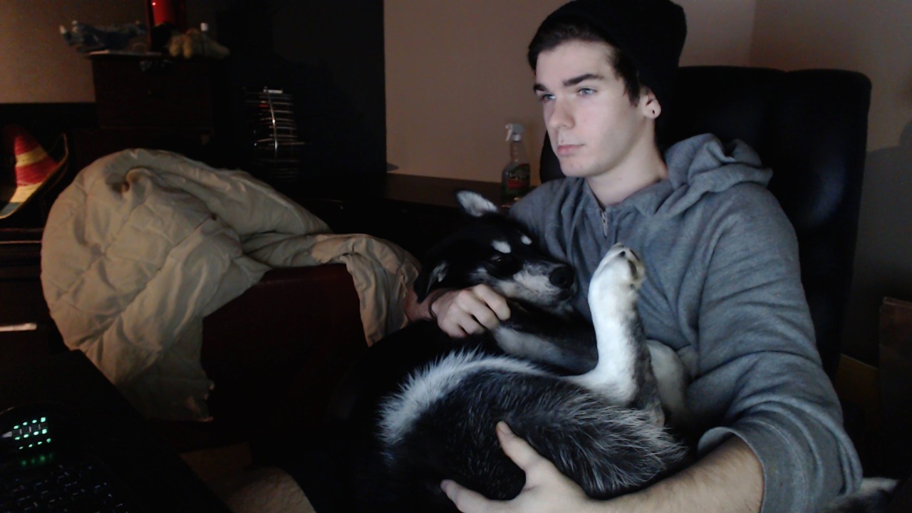 melissafangirl:  z0rr:  my pup still thinks he’s a pup, when i try to put him down