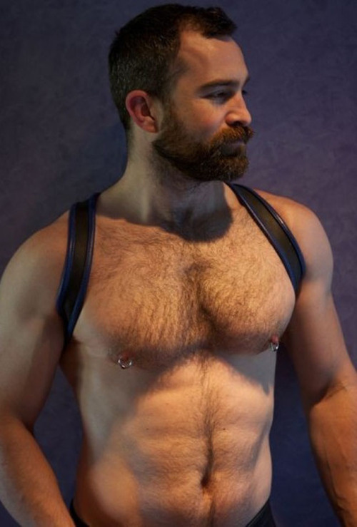 XXX hairy-chests:  http://hairy-chests.tumblr.com photo