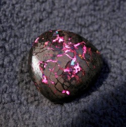alluringabyss:  Boulder opal