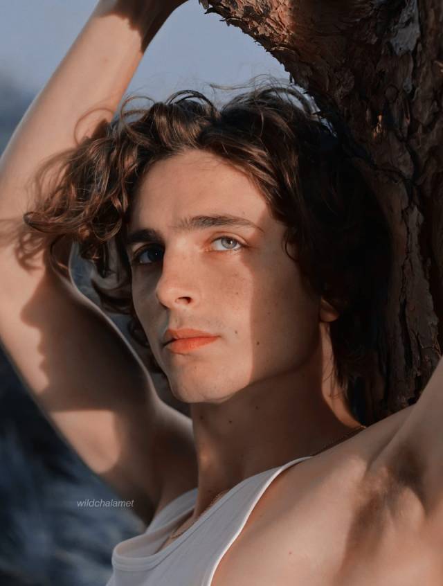 Timothee Wallpaper Tumblr Posts Tumbral Com