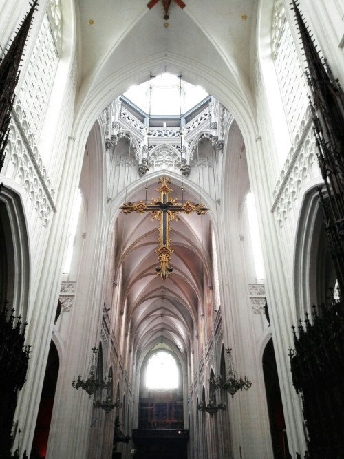 complete-theory: The Cathedral of Our Lady, Antwerp, Belgium.