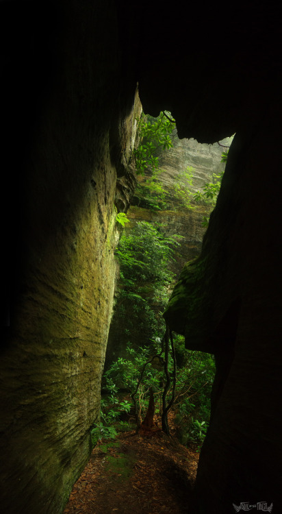 frolicingintheforest: I cant think of a better place to wait out a down pour. life is good. &lt;