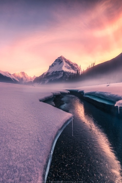sundxwn: Come closer! by Simon Roppel