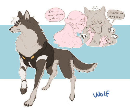 【獣人化・擬獣化】  Team Kemono