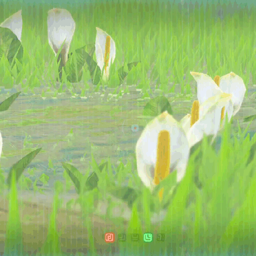 Some Closeup Shots Of Flowers In Breath Of The Wild
