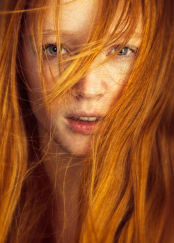 Ginger-Art:  ♥*~Ginger Girls~*♥