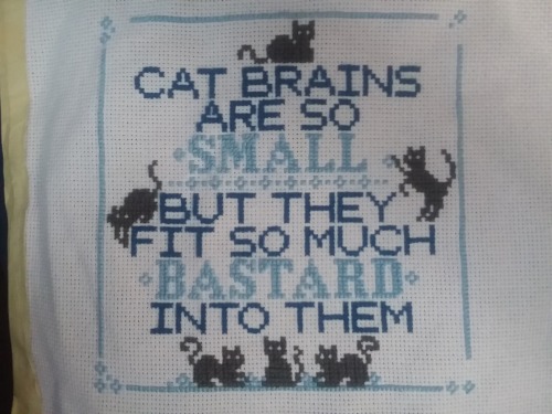 shitpostsampler:here is my first cross stitch! did your cat brains pattern for my parents for xmas. your pattern was so clear and it was super easy to follow :)Also submitted by   ladylowkeyed  