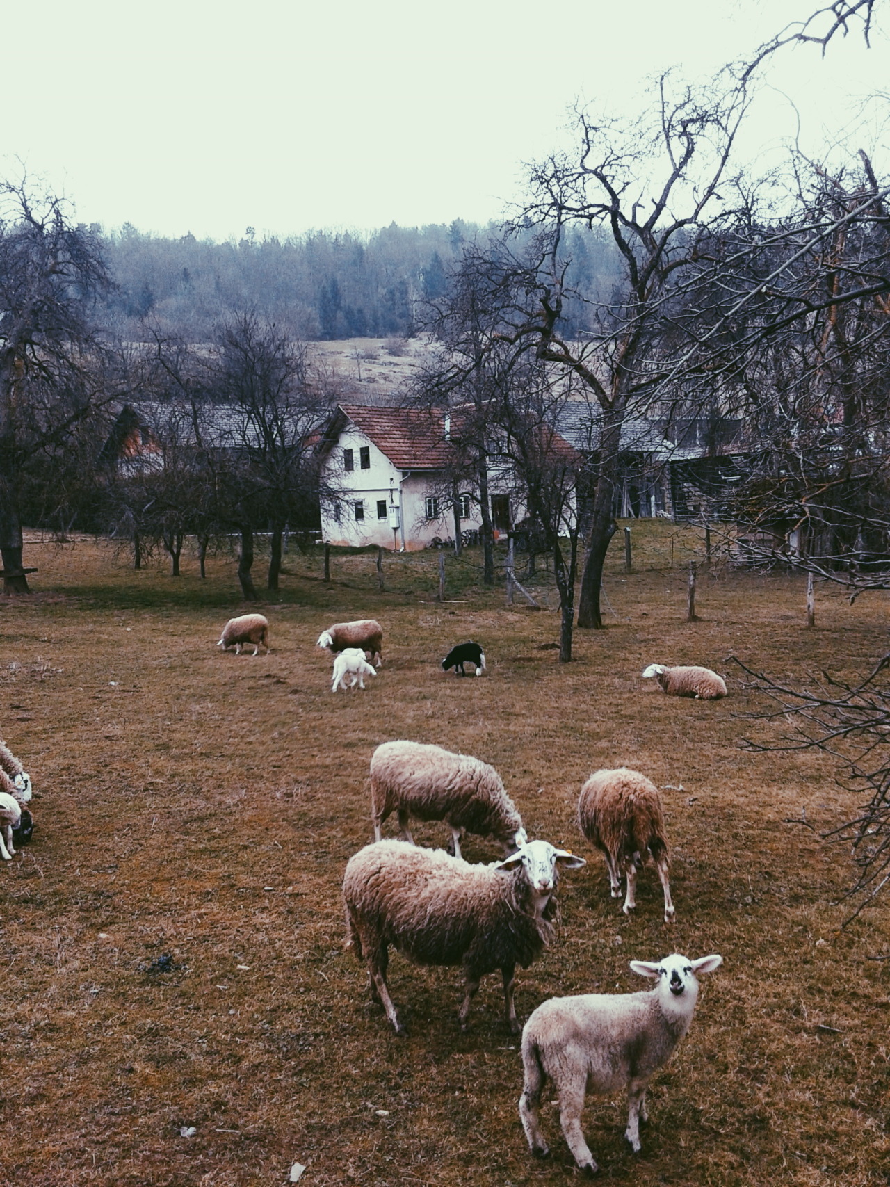 danielodowd:  http://urhpirc.vsco.co/