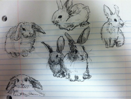 valentinechopine: i drew a bunch of buns!!