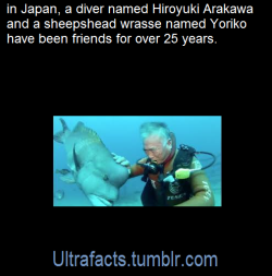 ultrafacts:   Beneath the surface of Japan’s