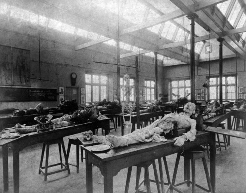 Porn Cambridge dissecting room, 1888. photos