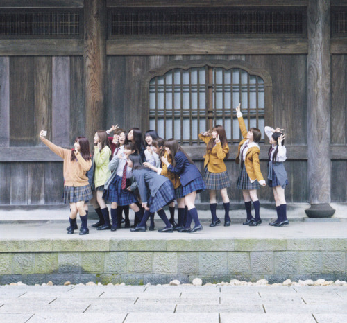 omiansary27:  Nogi-chans