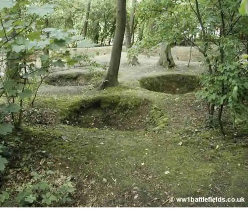 bomb craters in the forest in sanctuary woods, Belgium. photo by 1battlefields.co.uk