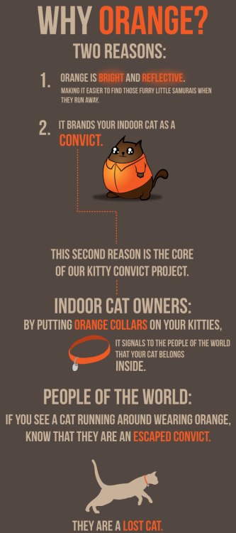 oatmeal: This is our #kittyconvict project.  More info here. 