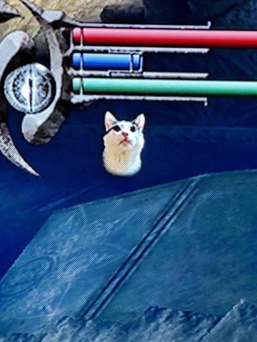 aquariusxiv: shadowcow: Eternal mood: the Cat Ring’s status effect icon in Demon’s Souls. I wanted t