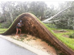 southernsideofme:   Hurricane Matthew was