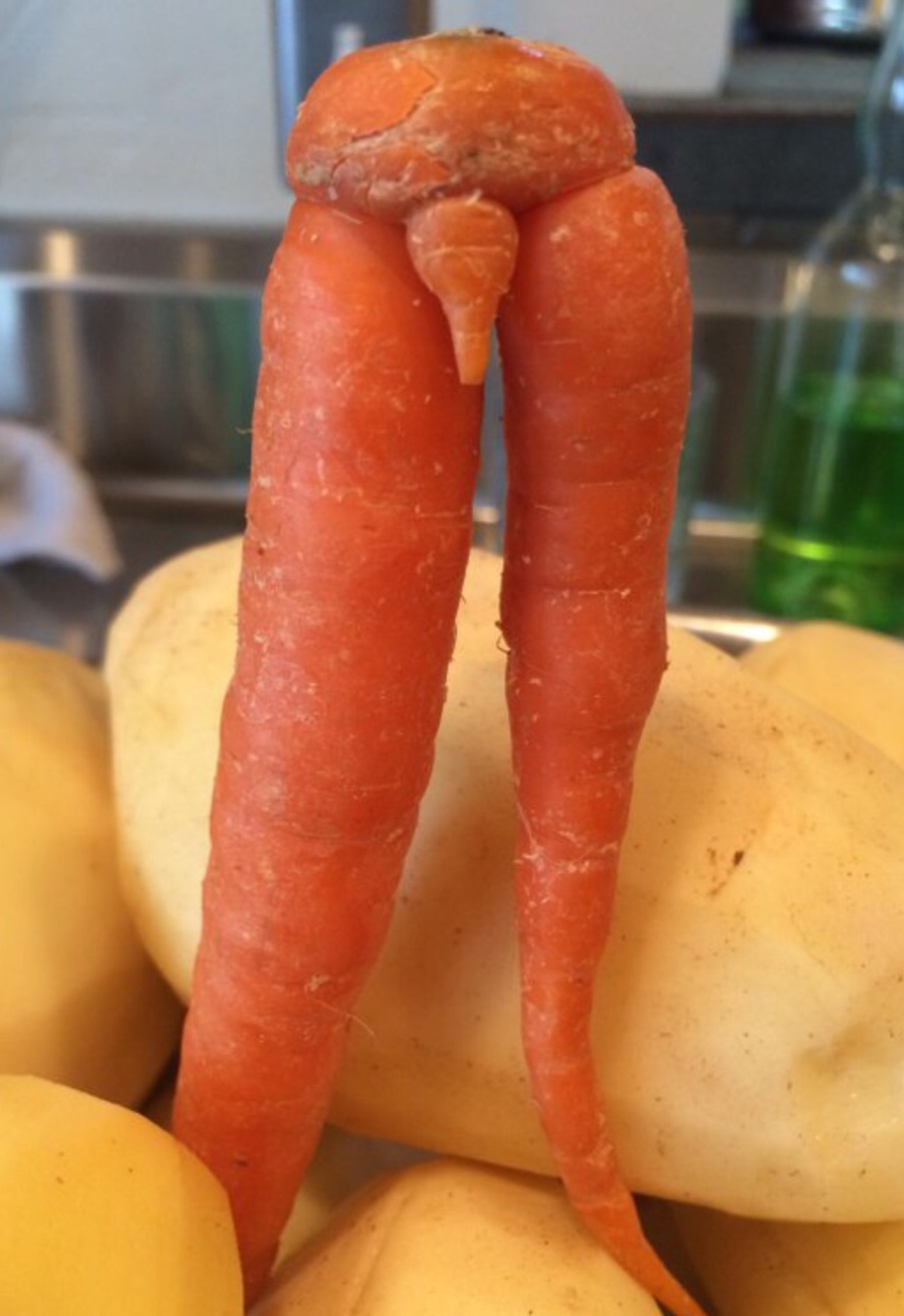 psychoxknyte:  killbenedictcumberbatch:  celery   I this at least 3 fucking times