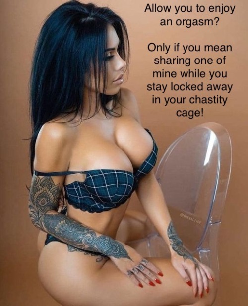 XXX mistressandhercagedpet: photo