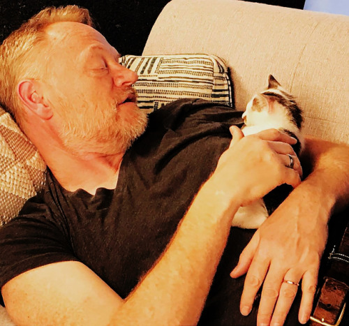 charlesdances:Jared Harris with some adoptable kitties (x)