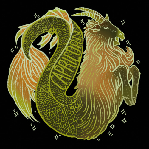 Capricorn Design - Other Signs / SHIRT / tumblr 