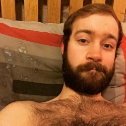 Pizzaotter:ugh, Got Massage Oil All Over My Pillow Again… I Got A Video Of It Happening