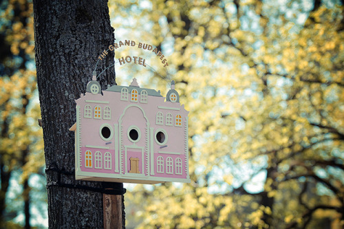 The Grand Budapest Hotel for birds