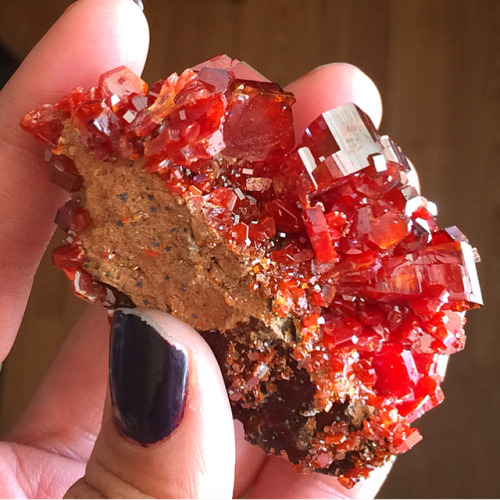 phenomenalgems:  🔥Extravagant Vanadinite flame-red crystals on matrix–a gorgeous example of this amazingly colorful mineral! Extra large hexagonal vanadinite crystals, flanked by mini to medium crystals, rest on tan matrix in this striking and classic
