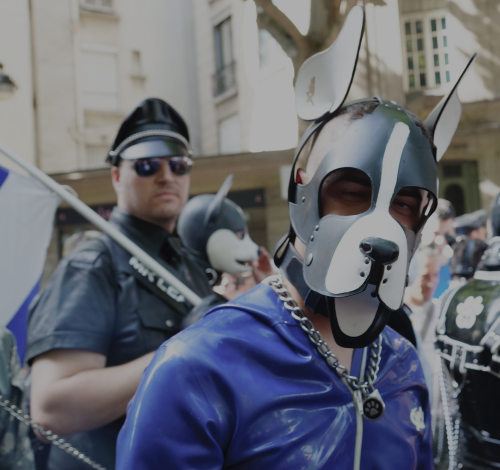 yrreug:  renzokuon:  Had a blast at Gaypride in Paris 2015, second time I pup’ed out in public