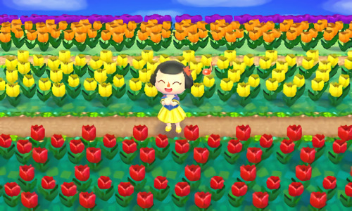 Finished my Tulip Fields! :)DA: 5E00-003F-2536