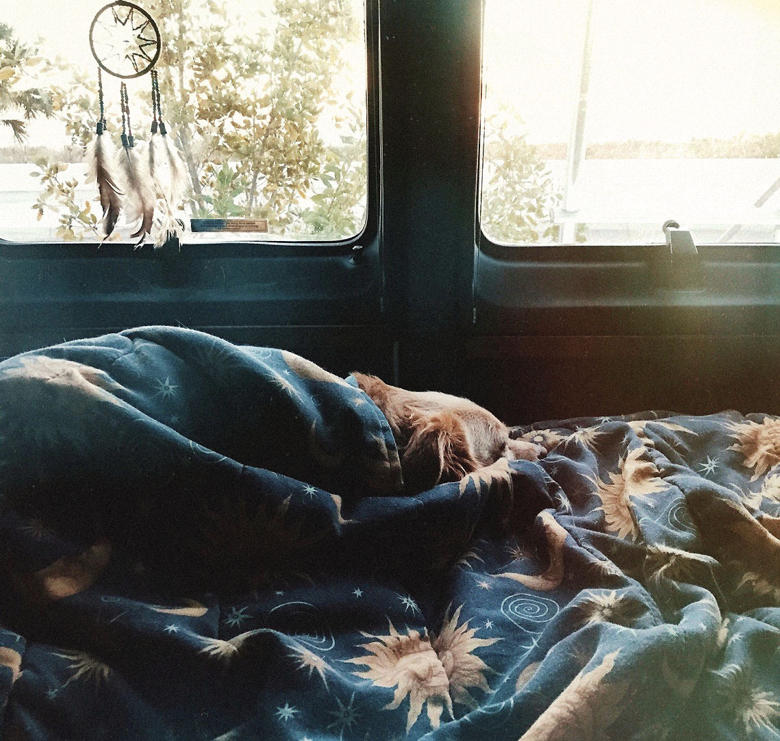 we-are-all-one-tribe:My perfect lil van life pup, she literally never wants to get