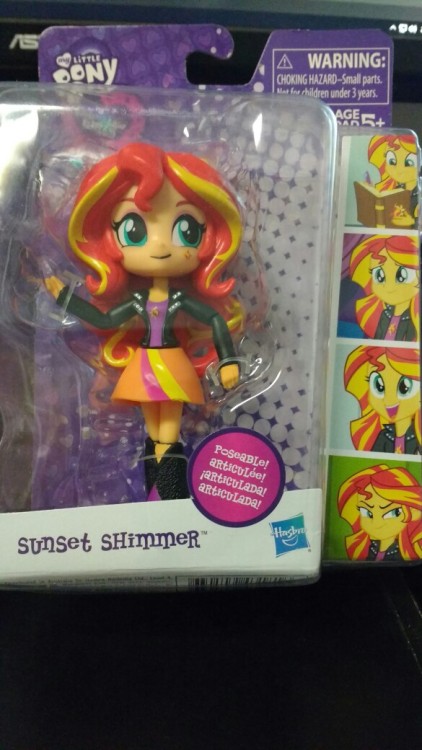 reisartjunk:finally have my own sunny I want T T <3 <3 <3