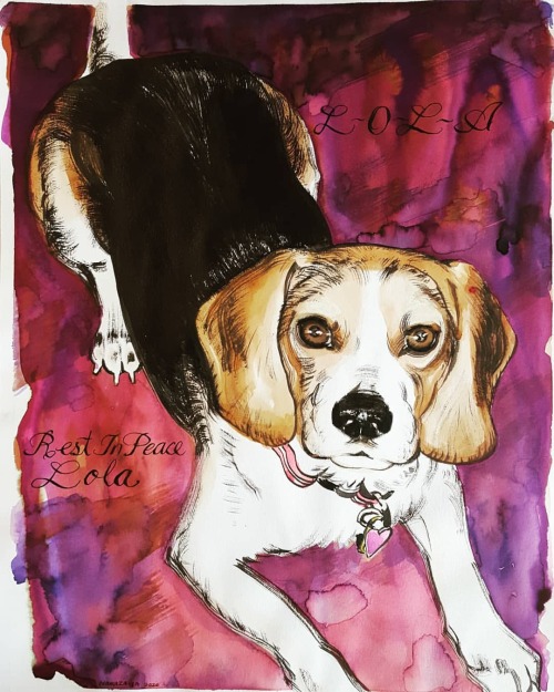 L-O-L-A. Rest In Peace Lola. Mixed media on paper. A portrait for a childhood friend.---#dogsofinsta