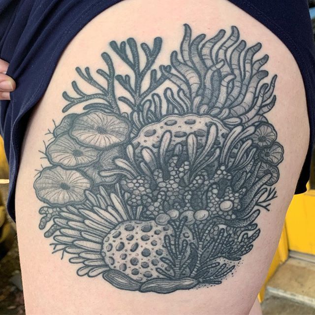 50 Coral Reef Tattoo Designs For Men  Aquatic Ink Mastery  Tattoo designs  men Turtle tattoo designs Sleeve tattoos