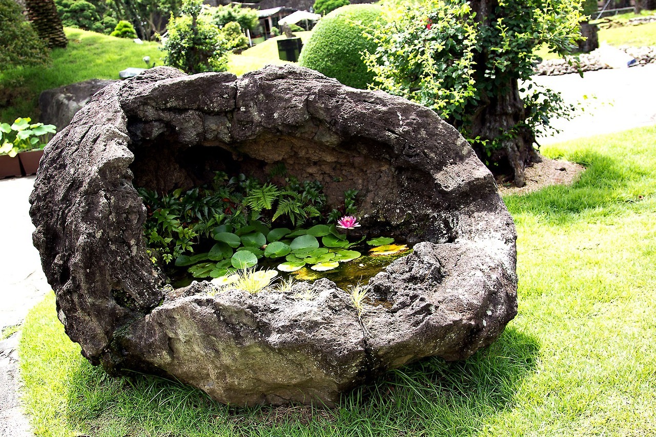 itsbiscuittime:  sixpenceee:  A swamp in a boulder via here  I don’t know whether