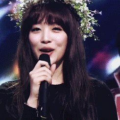 :  sulli’s flower crown ♡ 