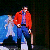 fashion-fit-for-a-king:  Various outfits Elvis wore in Roustabout. 